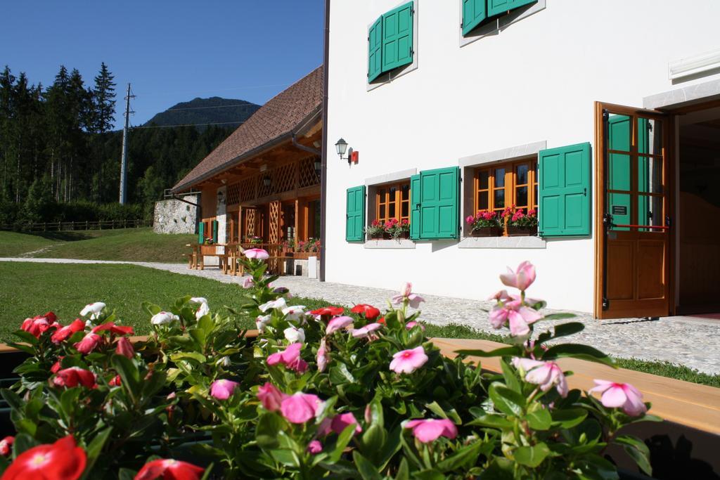 Hotel Aplis Ovaro Exterior photo